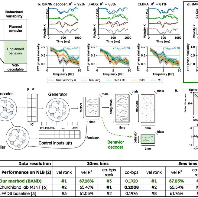 BAND: Behavior-Aligned Neural Dynamics is all you need to capture motor corrections
