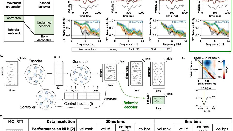 BAND: Behavior-Aligned Neural Dynamics is all you need to capture motor corrections